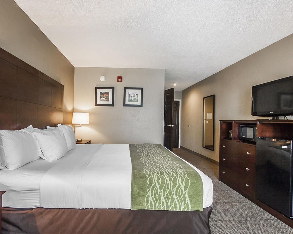 Comfort Inn Us Hwy 80 Demopolis Exterior foto